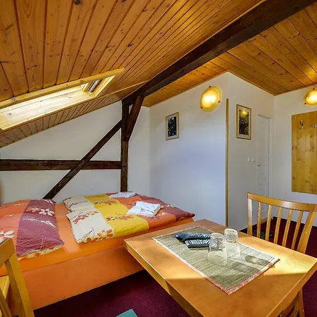 Penzion Kameňák Horní Planá Exteriér fotografie
